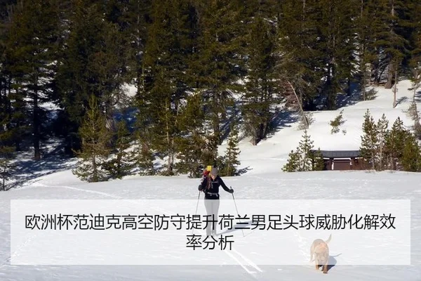 欧洲杯范迪克高空防守提升荷兰男足头球威胁化解效率分析