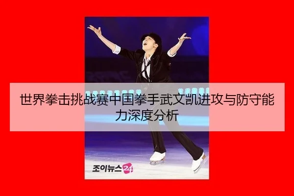 世界拳击挑战赛中国拳手武文凯进攻与防守能力深度分析