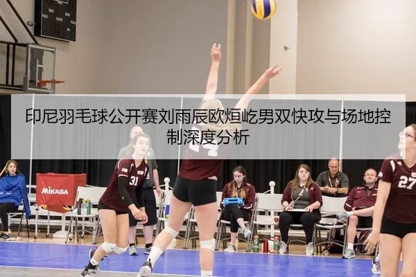 yin-ni-yu-mao-qiu-gong-kai-sai-liu-yu-chen-ou-xuan-yi-nan-shuang-kuai-gong-yu-chang-di-kong-zhi-shen-du-fen-xi-2-928.jpg