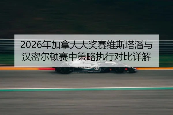 nian-jia-na-da-da-jiang-sai-wei-si-ta-pan-yu-han-mi-er-dun-sai-zhong-ce-lve-zhi-xing-dui-bi-xiang-jie-2-636.jpg